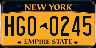 NY license plate HGO0245