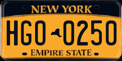 NY license plate HGO0250