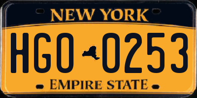 NY license plate HGO0253