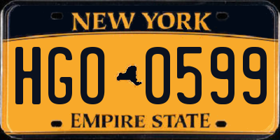 NY license plate HGO0599