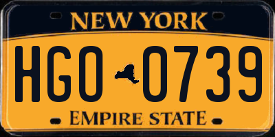 NY license plate HGO0739