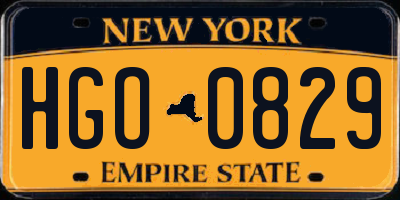 NY license plate HGO0829