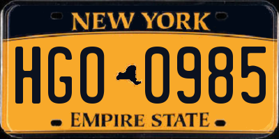 NY license plate HGO0985