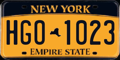 NY license plate HGO1023