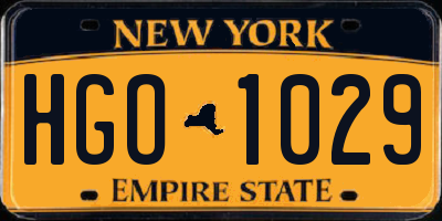 NY license plate HGO1029