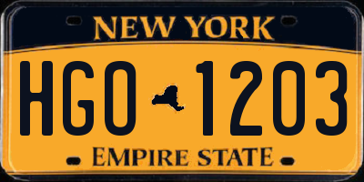 NY license plate HGO1203