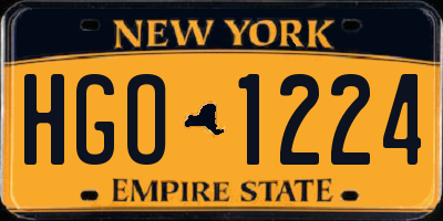 NY license plate HGO1224