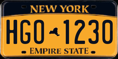 NY license plate HGO1230