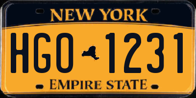 NY license plate HGO1231