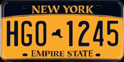NY license plate HGO1245