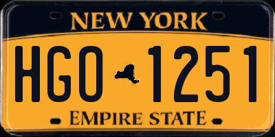 NY license plate HGO1251