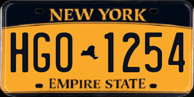 NY license plate HGO1254
