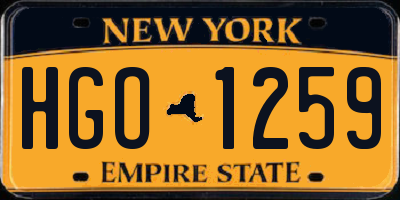 NY license plate HGO1259