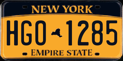 NY license plate HGO1285