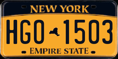 NY license plate HGO1503