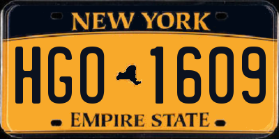 NY license plate HGO1609