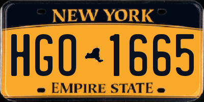 NY license plate HGO1665