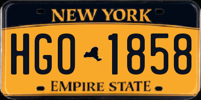 NY license plate HGO1858