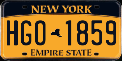 NY license plate HGO1859