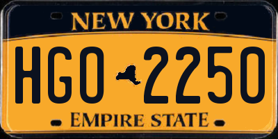 NY license plate HGO2250