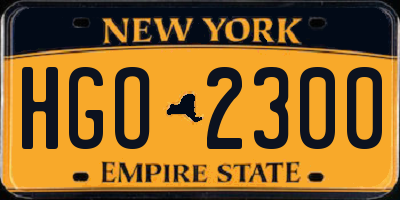 NY license plate HGO2300