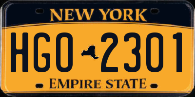 NY license plate HGO2301