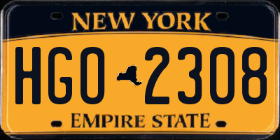 NY license plate HGO2308