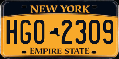 NY license plate HGO2309