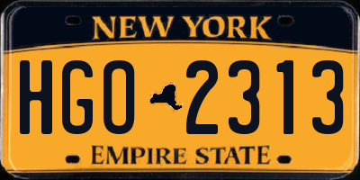 NY license plate HGO2313