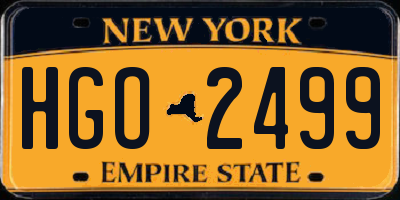 NY license plate HGO2499