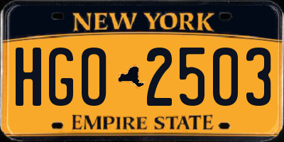 NY license plate HGO2503