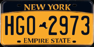 NY license plate HGO2973