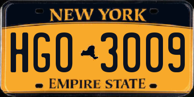 NY license plate HGO3009