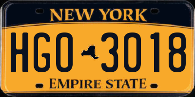 NY license plate HGO3018