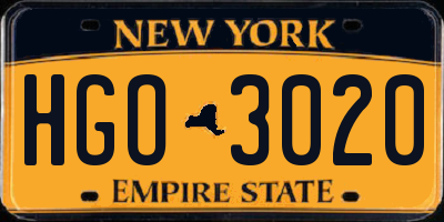 NY license plate HGO3020