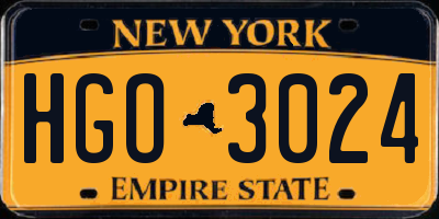 NY license plate HGO3024