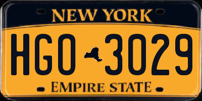 NY license plate HGO3029