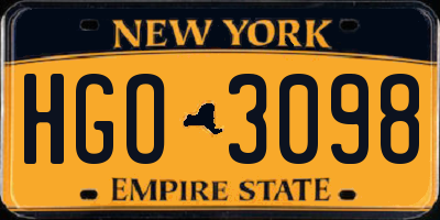 NY license plate HGO3098