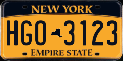 NY license plate HGO3123