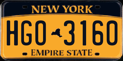 NY license plate HGO3160