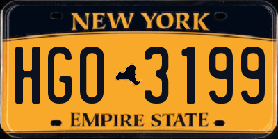 NY license plate HGO3199