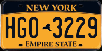 NY license plate HGO3229