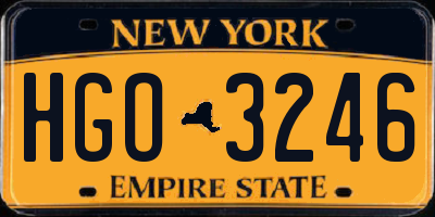 NY license plate HGO3246