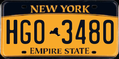 NY license plate HGO3480