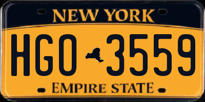 NY license plate HGO3559