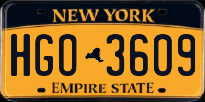 NY license plate HGO3609