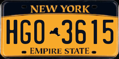 NY license plate HGO3615