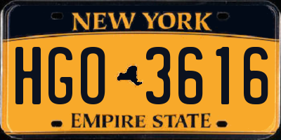 NY license plate HGO3616