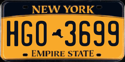 NY license plate HGO3699