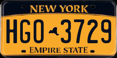 NY license plate HGO3729